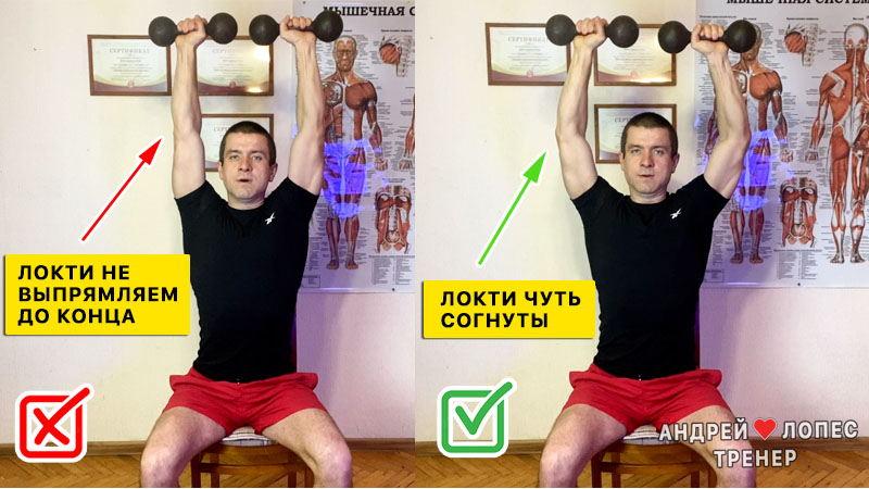 Жим гантелей сидя на головой 1 zhim gantelej sidya nad golovoj