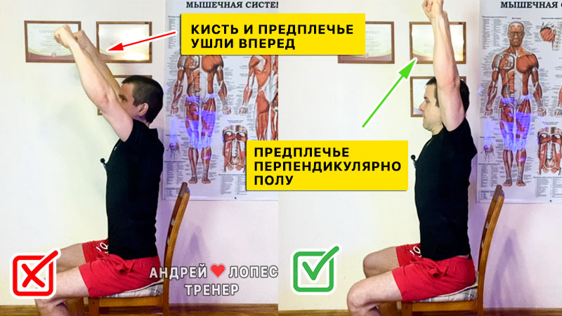 Жим гантелей на плечи от Андрея Лопеса 3 zhim gantelej na plechi