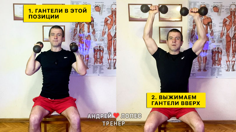 Упражнение на плечи с гантелями от Андрея Лопеса 4 uprazhneniya na plechi s gantelyami