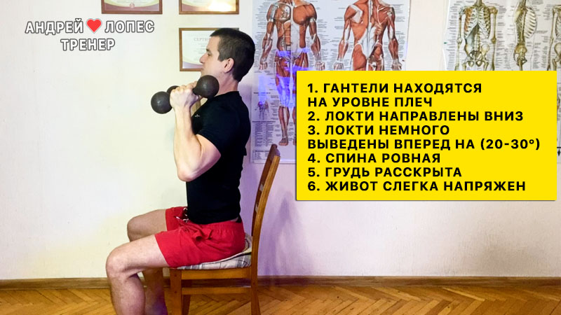 Упражнение на плечи в зале для мужчина от Андрей Лопеса 5 uprazhneniya na plechi v zale dlya muzhchin
