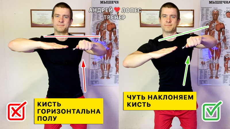 Махи гантелями на среднию дельту ошибка нет наклона кисти mahi gantelyami na srednyuyu deltu