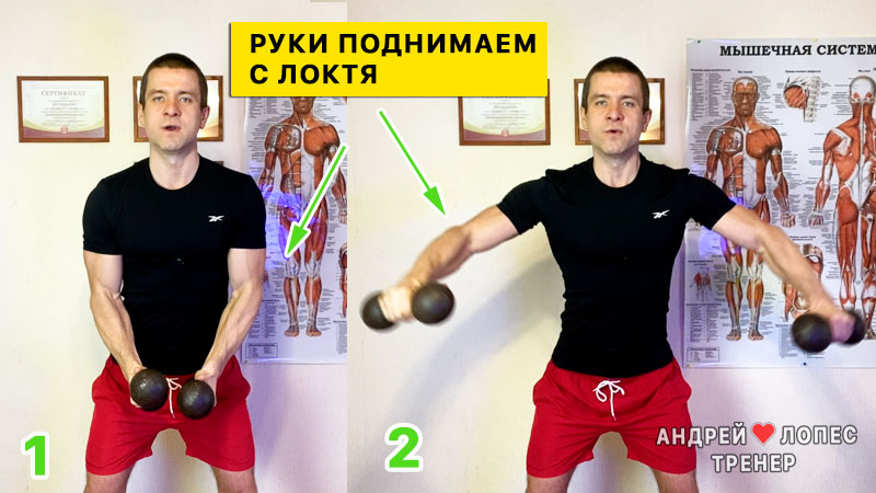 Махи с гантелями в стороны стоя mahi gantelyami v storony stoya