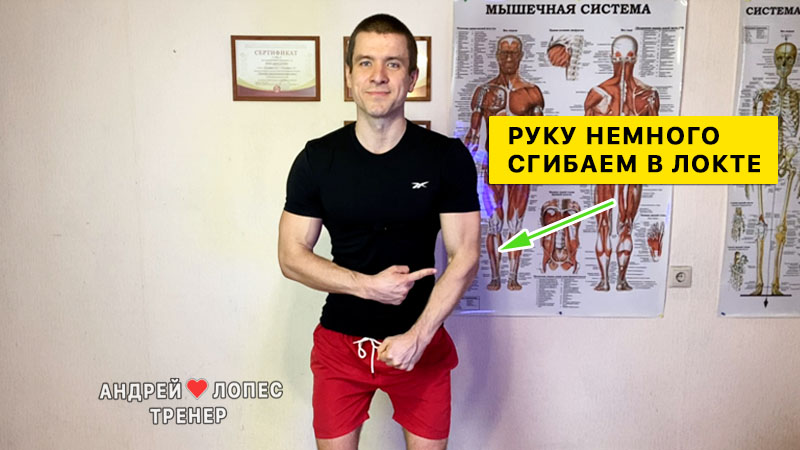 Махи гантелями в стороны техника mahi gantelyami v storony tekhnika