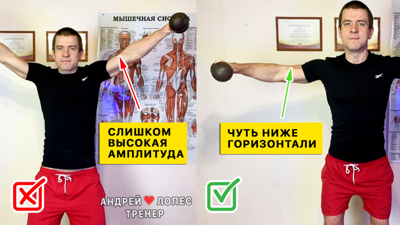 Махи в стороны на дельты техника ошибка слишком высокая амплитуда mahi v storonu delty tekhnika