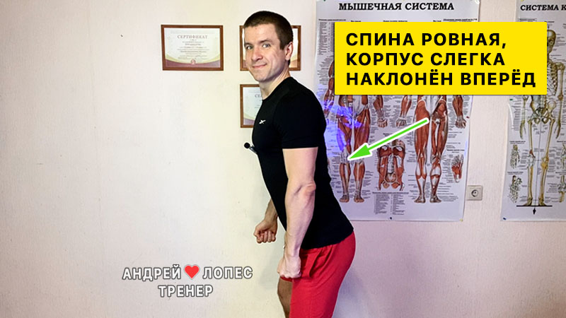 Разведение гантелей в стороны техника razvedenie gantelej v storony tekhnika