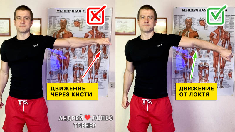 Техника махов гантелей на плечи ошибка движение через кисти tekhnika mahov gantelej na plechi