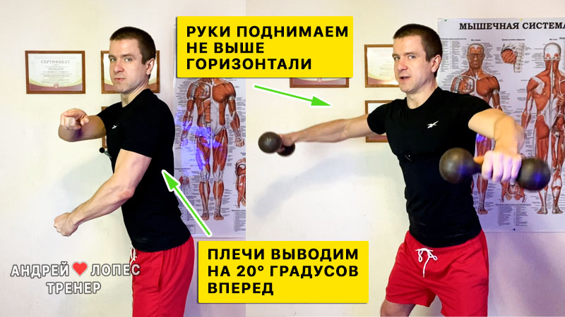 Тренировка на плечи с гантелями trenirovka na plechi s gantelyami