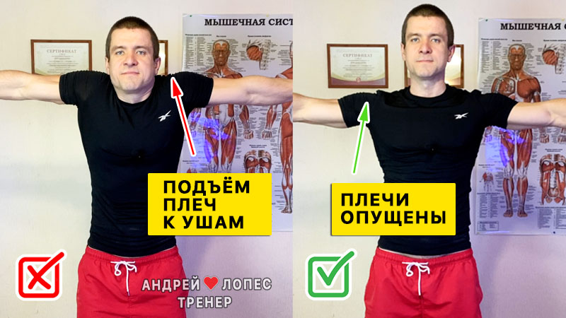 Тренировка плеч в зале ошибка подъём плеч к ушам trenirovka plech v zale