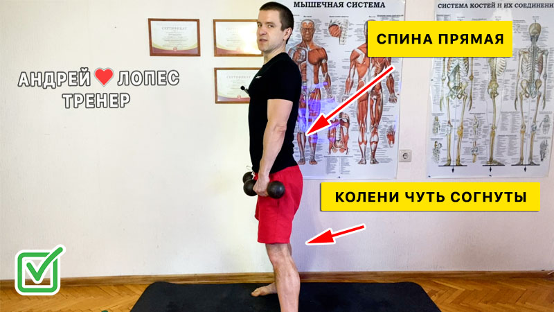 1 rumynskaya tyaga s gantelyami